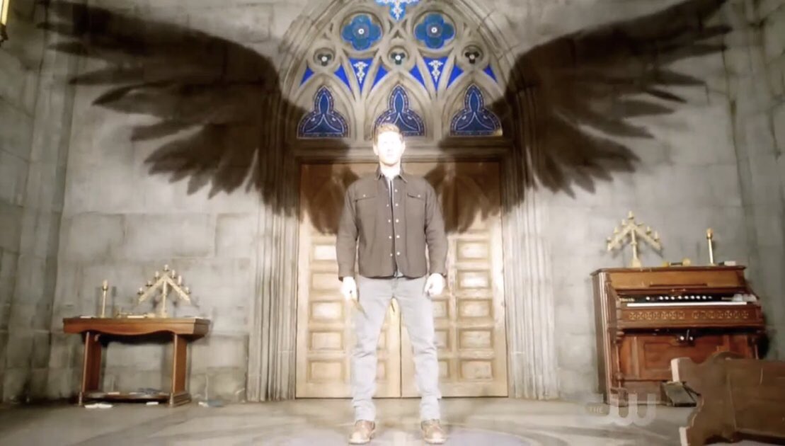 13.23 Dean wings