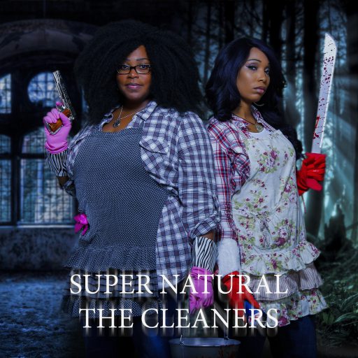 Spn the cleaners