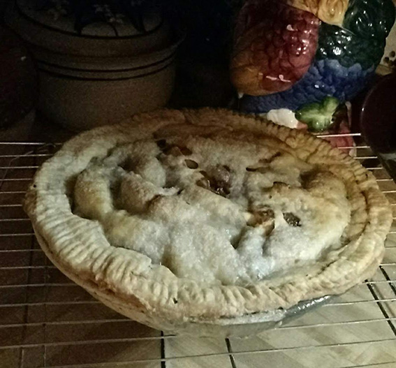 pie2