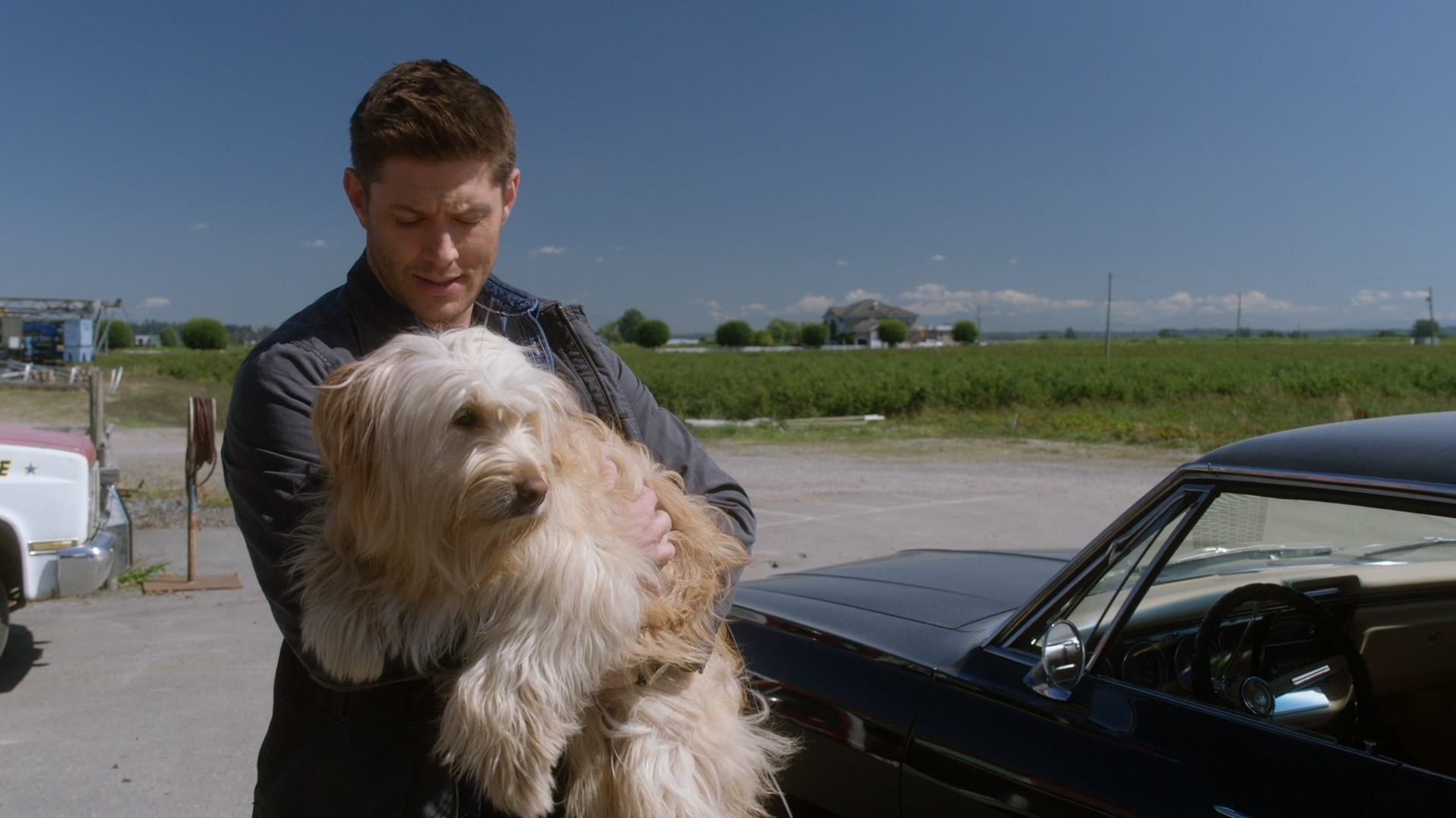 SPN 15x19 Miracle