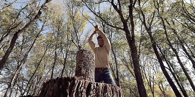 2.07 149 chopping wood sm